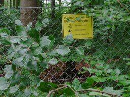 Ortstermin 21.06.2024