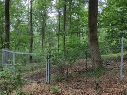 Ortstermin 21.06.2024